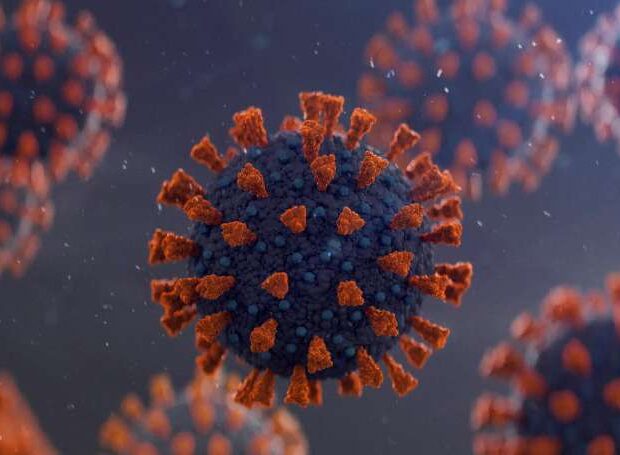 Koronavirusun yeni növü sürətlə yayılır: Həkimdən XƏBƏRDARLIQ