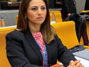 Sevinc Fətəliyeva: Azərbaycan ilə Ermənistan arasındakı proseslər, yeni yaranan imkanlar və münasibətlər region dövlətlərini maraqlandıran məsələlərdəndir