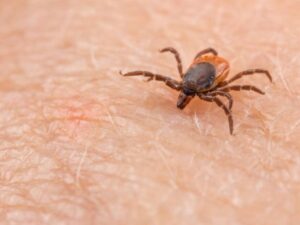 Dünya əhalisinə XƏBƏRDARLIQ: Yeni öldürücü virus yayılıb