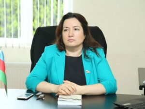 Rəsmi İrəvanın Azərbaycan sərhədində metallurgiya zavodunu inşa etməsi ekoloji terrorun davamıdır – ŞƏRH