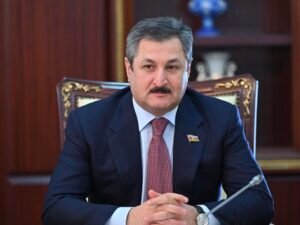 Malik Həsənov: Qarabağ, Şərqi Zəngəzur və Naxçıvan artıq yaşıl enerji zonası elan olunub