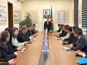 BŞTİ-nin müdiri vəzifəsi Nərminə Hüseynovaya həvalə olunub