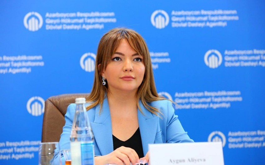 Aygün Əliyeva: Şərqi Zəngəzurun “yaşıl enerji” zonası elan edilməsi ekoloji addımları qaçılmaz etdi